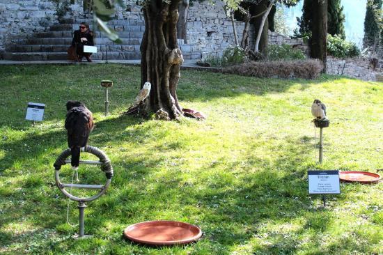 Museo Civico di Ornitologia e Scienze Naturali